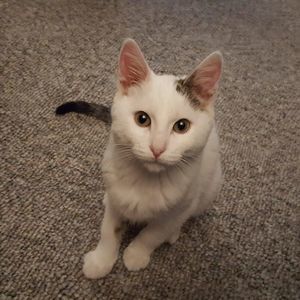 Meet your Posher, Gary
